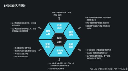 集團數據管控與數據治理解決方案 構建數據驅動的企業核心